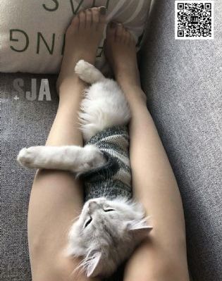 偷窥 下载