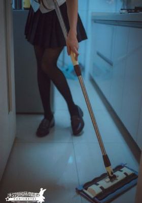 布鲁伊第三季