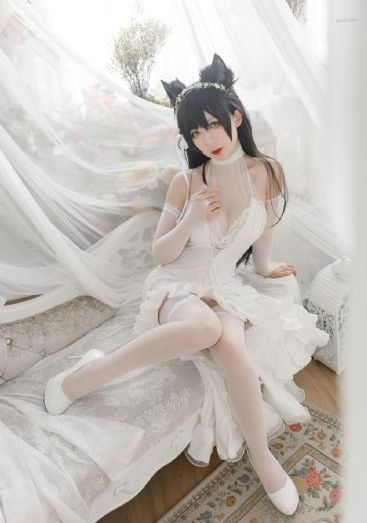 围城电视剧免费观看完整版
